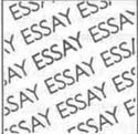 Essay