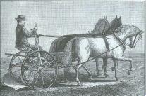 Horse and Carriage