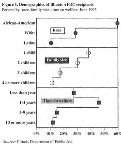 Demographics of Illinois AFDC recipients