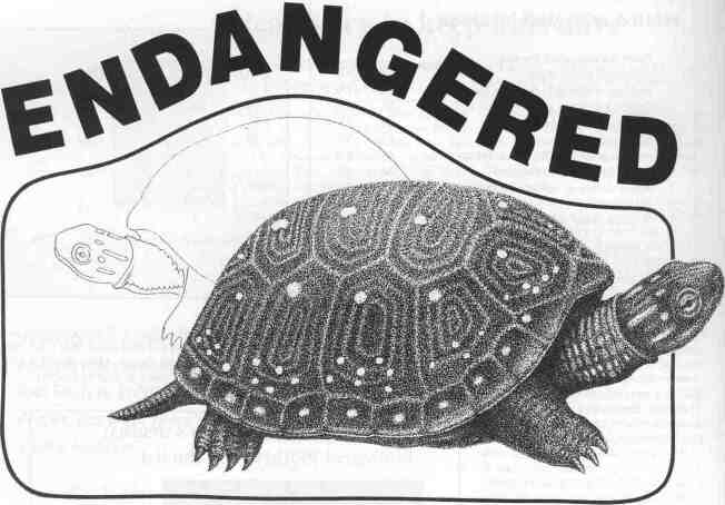 ENDANGERED