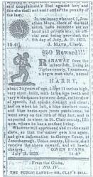 Reward for a runaway slave