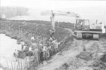 Farmers try erosion control with willows