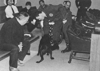 Special Agent Mitch Kushner of the State Fire Marshal's Office and his black Labrador Retriever canine Nikki demonstrate how accelerants can be detected.