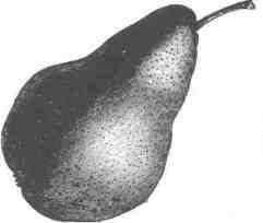 Pear