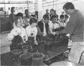 During an Earth Day
celebration, fourth
grade students from
Springfield learn the
proper way to plant
trees with a "hands-
on" project.