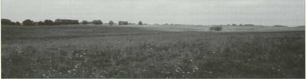 Tallgrass Prairie