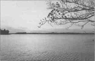 Lake Springfield was closed to boaters and swimmers last summer