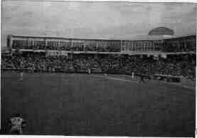 Play Ball In Schaumburg