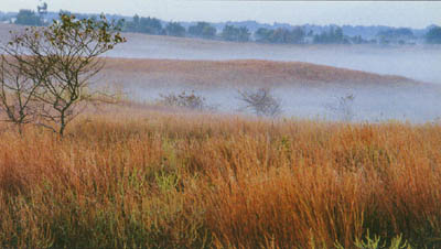 Nachusa Grasslands, Lee County