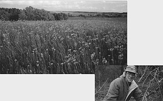 tallgrass prairie & Jay Stacy