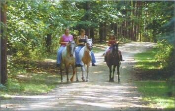 Horseback riding