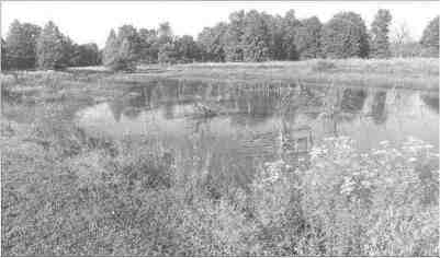 Wetland Education Area